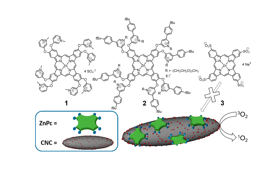 supramolecular immobilization research of Andrés de la Escosura